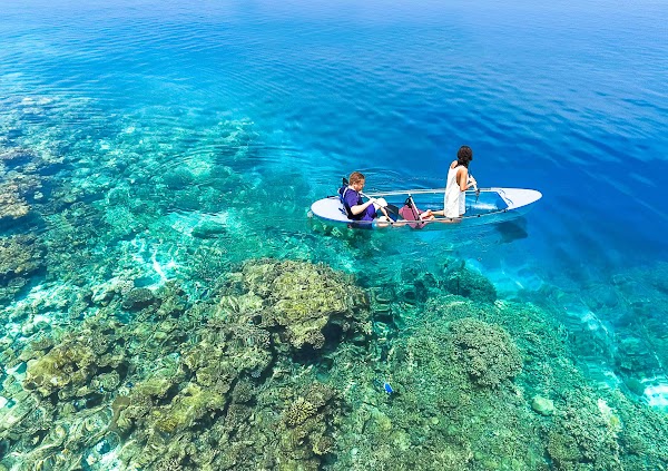 R & J Destination Wedding at Eriyadhu Island Resort, Eriyadhu Island Resort, Kaafu Atoll, Maldives — frame 21