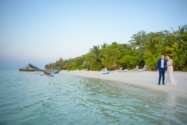 U & G Pre-Wedding Portrait at Lily Beach Resort, Lily Beach Resort, Alifu Dhaalu Atoll, Maldives — frame 20