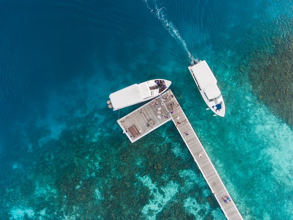 R & J Destination Wedding at Eriyadhu Island Resort, Eriyadhu Island Resort, Kaafu Atoll, Maldives — frame 39