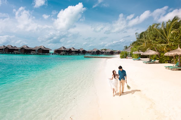 C & S Honeymoon Portrait at Anantara Resort and Spa Maldives, Anantara Resort and Spa Maldives, Kaafu Atoll, Maldives — frame 5