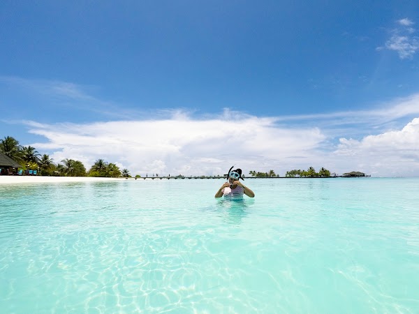 V & N Honeymoon Portrait at Paradise Island Resort and Spa — Paradise Island Resort and Spa, Kaafu Atoll, Maldives — frame 9