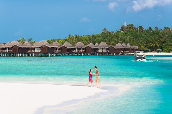 C & S Honeymoon Portrait at Anantara Resort and Spa Maldives — photographed at Anantara Dhigu Maldives Resort, Kaafu (Malé) Atoll — frame 7