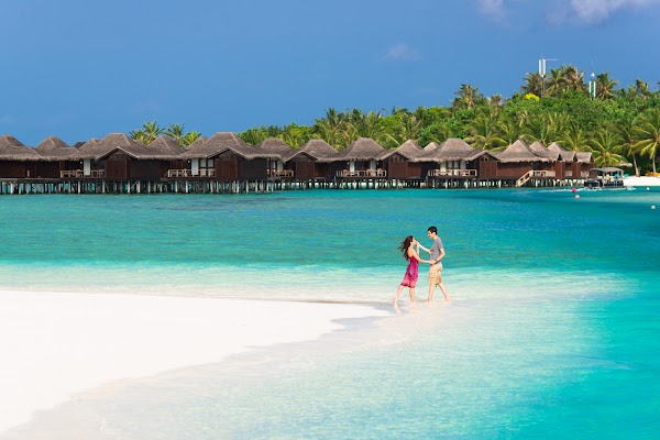 C & S Honeymoon Portrait at Anantara Resort and Spa Maldives — frame 7