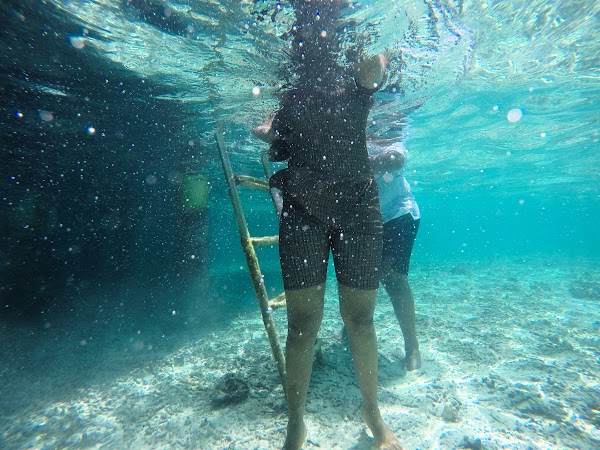 D & D Honeymoon Portrait at Taj Exotica Resort and Spa Maldives, Taj Exotica Resort and Spa Maldives, Kaafu Atoll, Maldives — frame 6