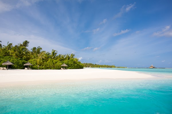 C & S Honeymoon Portrait at Anantara Resort and Spa Maldives — photographed at Anantara Dhigu Maldives Resort, Kaafu (Malé) Atoll — frame 6