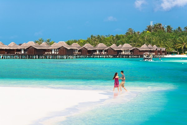 C & S Honeymoon Portrait at Anantara Resort and Spa Maldives, Anantara Resort and Spa Maldives, Kaafu Atoll, Maldives — frame 32