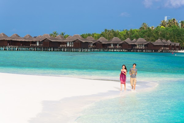 C & S Honeymoon Portrait at Anantara Resort and Spa Maldives, Anantara Resort and Spa Maldives, Kaafu Atoll, Maldives — frame 35