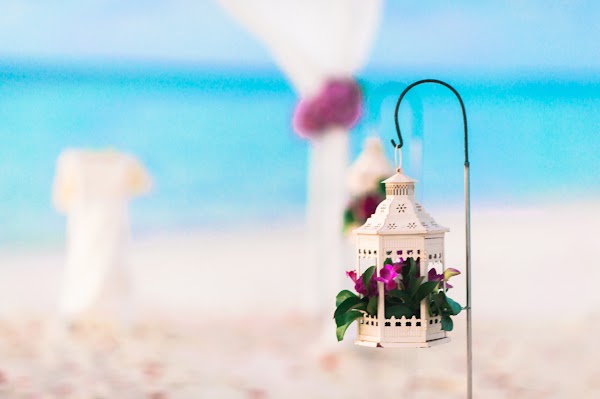 K & K  Elopement at The St. Regis Vommuli Resort, Maldives, The St. Regis Vommuli Resort, Maldives, Dhaalu Atoll, Maldives — frame 12