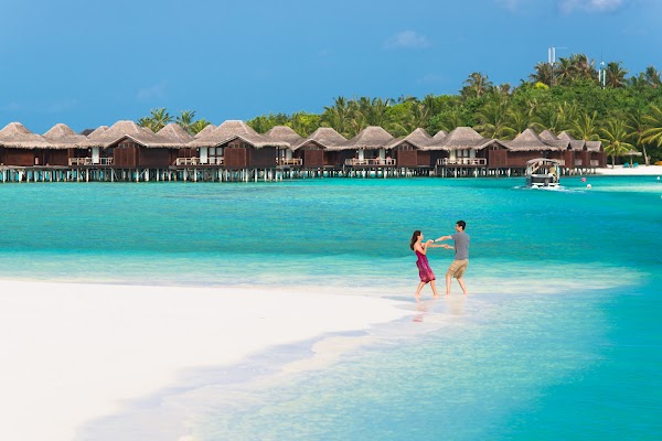 C & S Honeymoon Portrait at Anantara Resort and Spa Maldives, Anantara Resort and Spa Maldives, Kaafu Atoll, Maldives — frame 31
