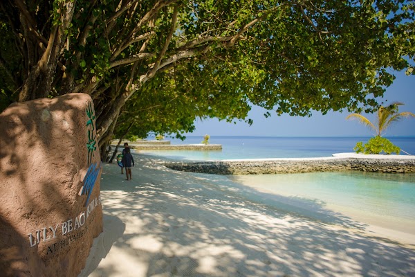 Photographs made in Reyva, 12 March – 7 April, Maldives — frame 7