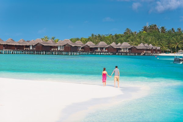C & S Honeymoon Portrait at Anantara Resort and Spa Maldives, Anantara Resort and Spa Maldives, Kaafu Atoll, Maldives — frame 29