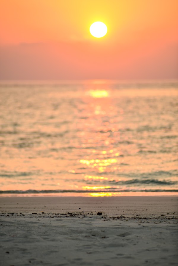 K & L  Proposal at Cocoa Island, Cocoa Island, Kaafu Atoll, Maldives — frame 47