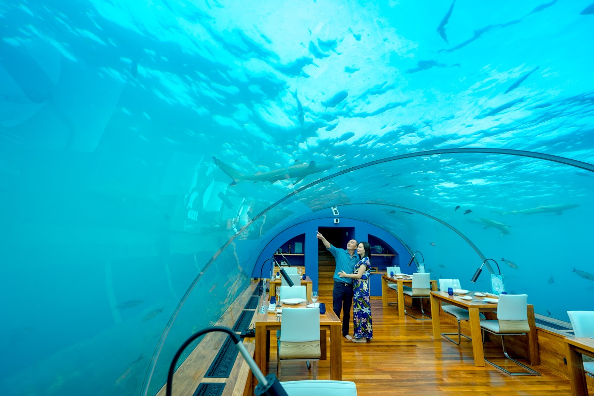 J & L Honeymoon Portrait at Conrad Maldives Rangali Island — frame 4