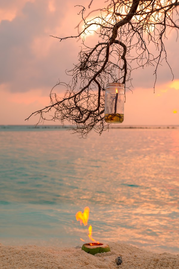 You and Me Maldives — Food and Beverage, You & Me Maldives, Raa Atoll, Maldives — frame 9