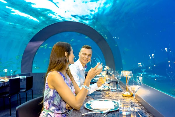 A couple toasting wine glasses at a table inside an underwater restaurant with fish swimming past the glass