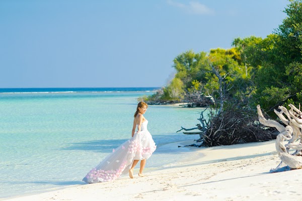 Photographs made in Mula, 28 November – 10 December, Maldives — frame 5
