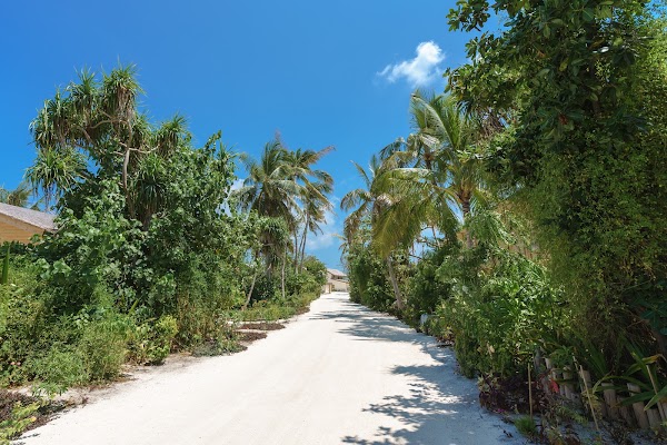 You and Me Maldives — You and Me Final Images, You & Me Maldives, Raa Atoll, Maldives — frame 20