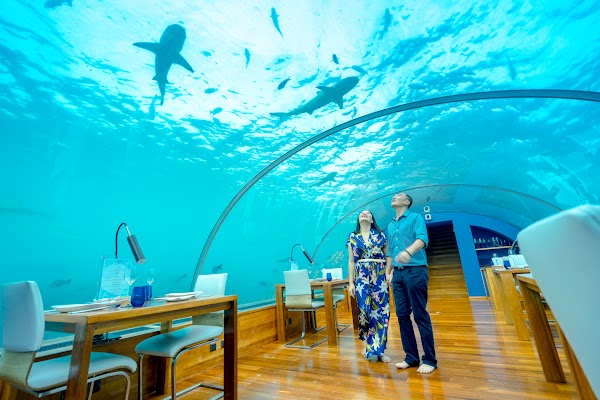 J & L Honeymoon Portrait at Conrad Maldives Rangali Island — frame 8
