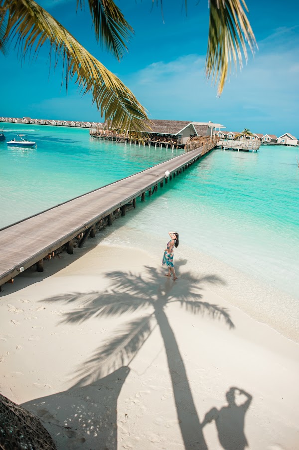 Photographs from Alifu Dhaalu (South Ari) Atoll, near Drift Theluveliga Retreat — frame 9