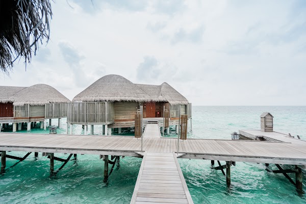 Photographs from Alifu Alifu (North Ari) Atoll, near Thoddoo — frame 4