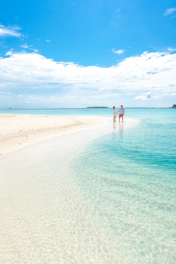 C & A  Elopement at Sun Island Resort and Spa, Sun Island Resort and Spa, Alifu Dhaalu Atoll, Maldives — frame 57