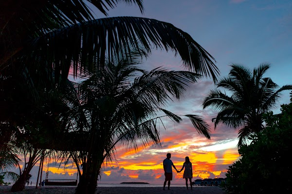 C & A  Elopement at Sun Island Resort and Spa, Sun Island Resort and Spa, Alifu Dhaalu Atoll, Maldives — frame 50
