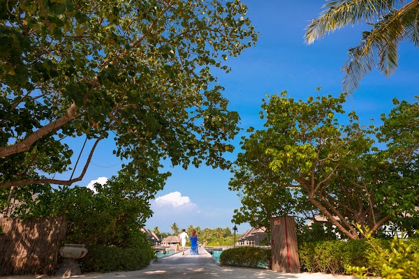 B & P Family Portrait at Four Seasons Resort Maldives at Kuda Huraa, Four Seasons Resort Maldives at Kuda Huraa, Kaafu Atoll, Maldives — frame 29