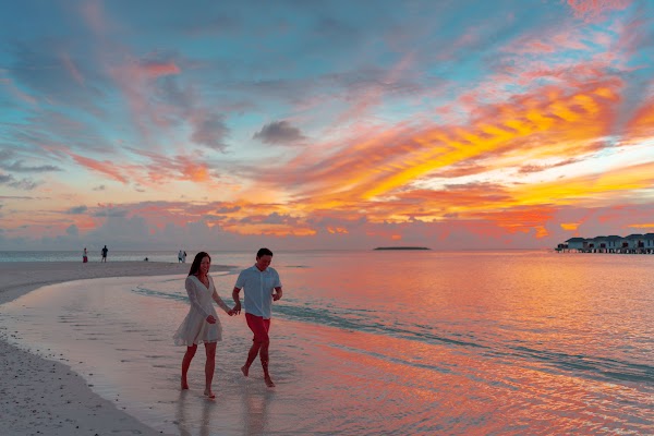 C & A  Elopement at Sun Island Resort and Spa, Sun Island Resort and Spa, Alifu Dhaalu Atoll, Maldives — frame 46