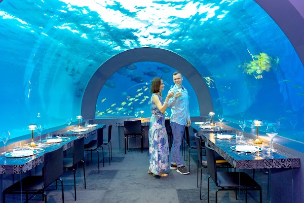 A couple toasting with champagne inside an underwater restaurant tunnel, fish swimming past curved glass at You & Me