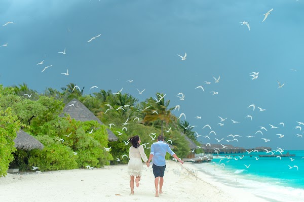 J & L Honeymoon Portrait at Conrad Maldives Rangali Island, Conrad Maldives Rangali Island, Alifu Dhaalu Atoll, Maldives — frame 23