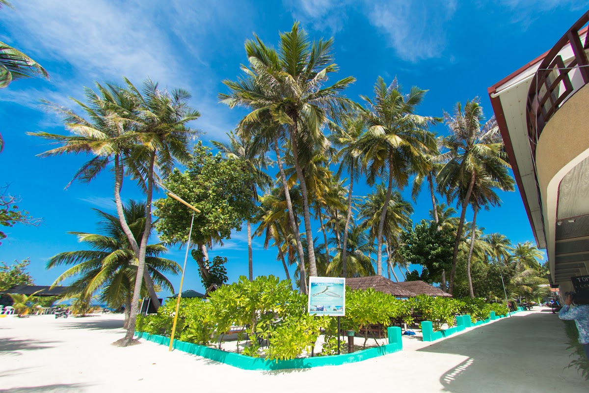 J & N  Elopement at Maafushi — frame 3