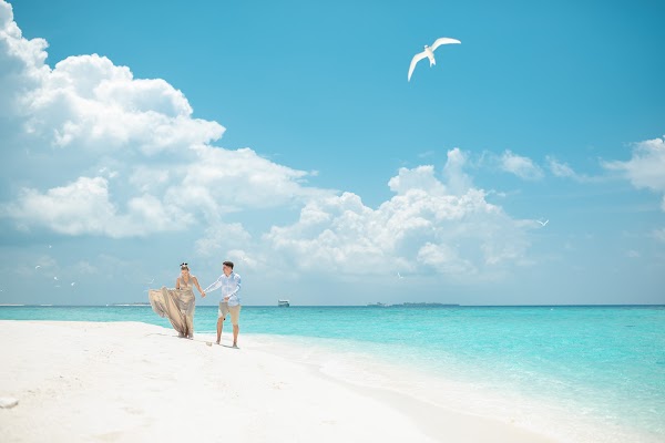 P & L  Proposal at Eriyadhu Island Resort, Eriyadhu Island Resort, Kaafu Atoll, Maldives — frame 10