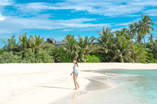 C & A  Elopement at Sun Island Resort and Spa, Sun Island Resort and Spa, Alifu Dhaalu Atoll, Maldives — frame 13