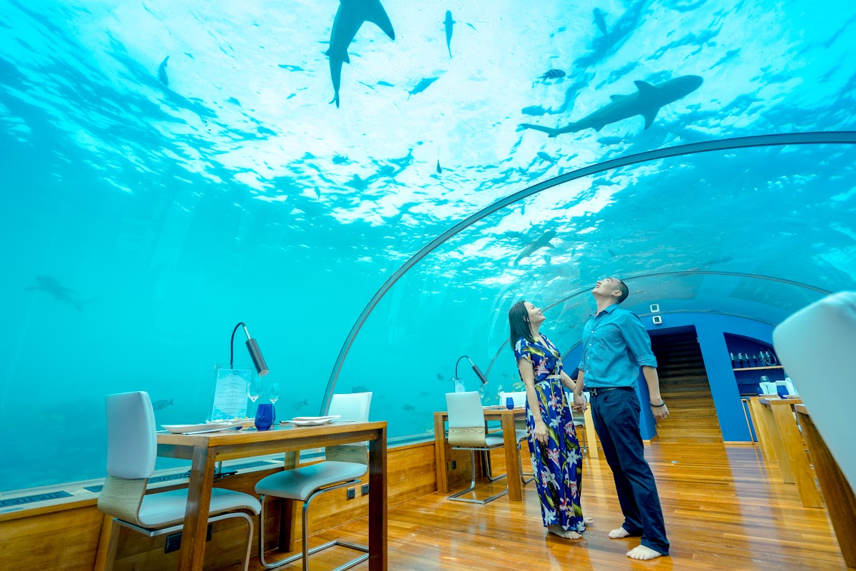 J & L Honeymoon Portrait at Conrad Maldives Rangali Island — frame 5