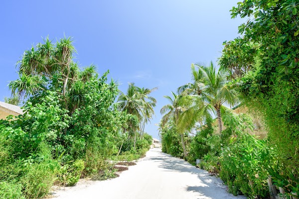 You and Me Maldives — You and Me Final Images, You & Me Maldives, Raa Atoll, Maldives — frame 37