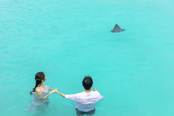 J & H Honeymoon Portrait at Kuramathi Maldives — frame 8
