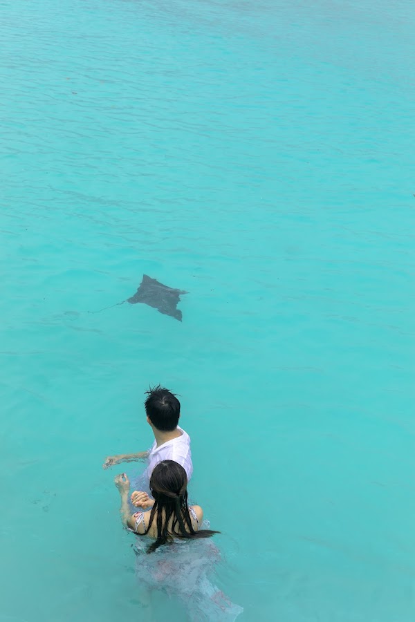 J & H Honeymoon Portrait at Kuramathi Maldives, Kuramathi Maldives, Alifu Alifu Atoll, Maldives — frame 31