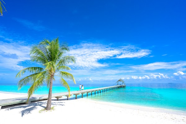 Photographs made in Hey, 7 October – 19 October, Maldives — frame 8