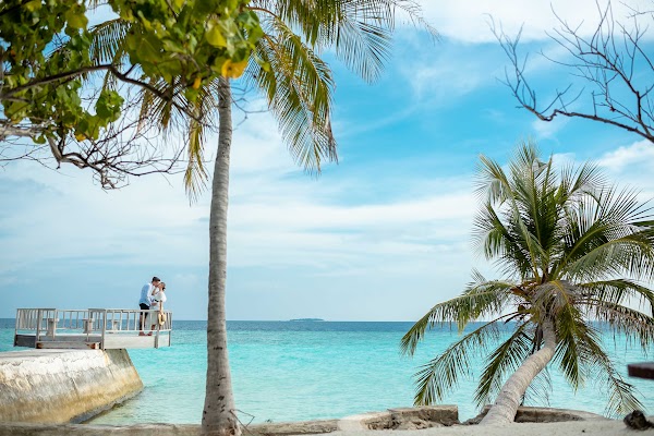 P & L  Proposal at Eriyadhu Island Resort — frame 9