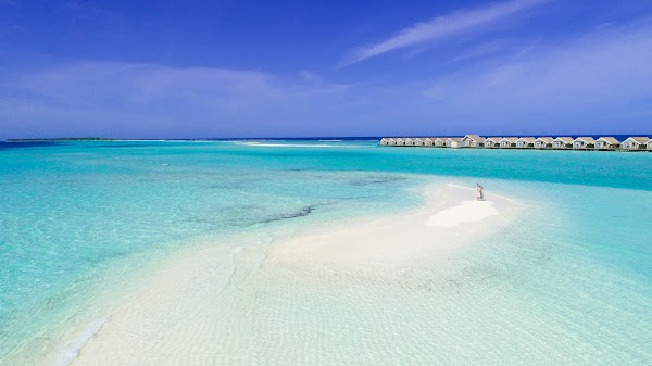 V & J Family Portrait at Lux South Ari Atoll, Maldives — frame 3