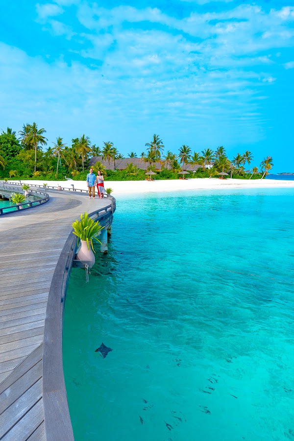 M & S Honeymoon Portrait at Milaidhoo Island Maldives — frame 5