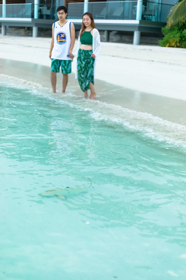 J & H Honeymoon Portrait at Kuramathi Maldives, Kuramathi Maldives, Alifu Alifu Atoll, Maldives — frame 44
