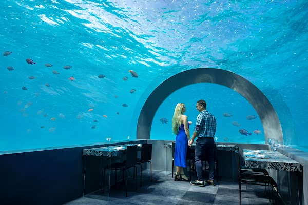 You and Me Maldives — Underwater Restaurent, You & Me Maldives, Raa Atoll, Maldives