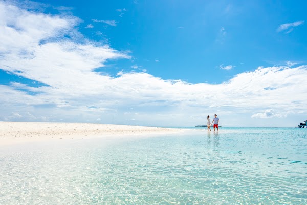 C & A  Elopement at Sun Island Resort and Spa, Sun Island Resort and Spa, Alifu Dhaalu Atoll, Maldives — frame 58