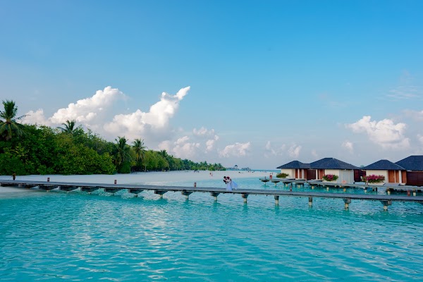 P & N Honeymoon Portrait at Paradise Island Resort and Spa, Paradise Island Resort and Spa, Kaafu Atoll, Maldives — frame 27