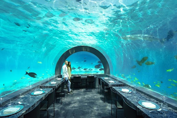 A couple stands inside an underwater restaurant at You & Me Maldives, fish swimming past curved glass walls and set