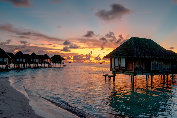 T Solo Portrait at Club Med Kanifinolhu, Club Med Kanifinolhu, Kaafu Atoll, Maldives — frame 39