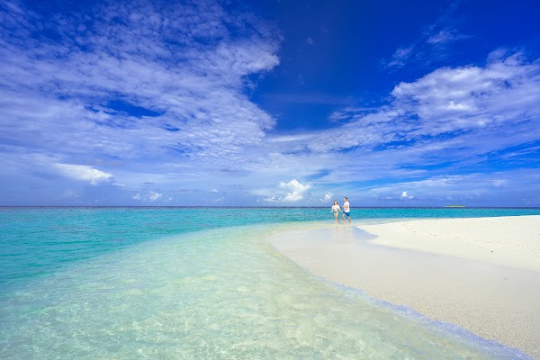 C & A  Elopement at Sun Island Resort and Spa, Sun Island Resort and Spa, Alifu Dhaalu Atoll, Maldives — frame 12