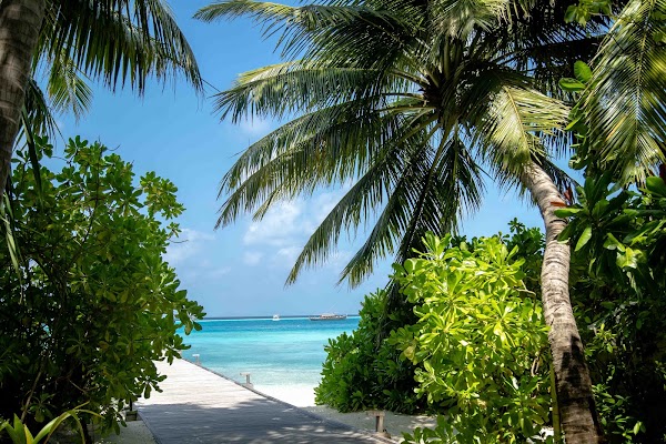A & A  Elopement at Baros Maldives — frame 7
